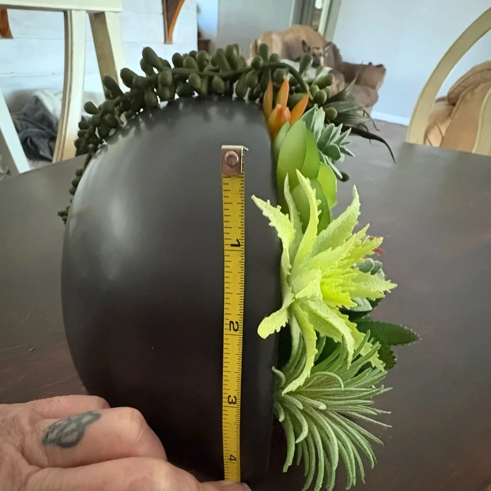 Succulent Arrangement in Black ceramic Bowl for wall